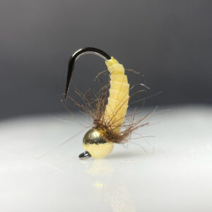 BH Caddis Larva