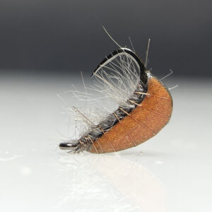 BTF Gammarus Orange