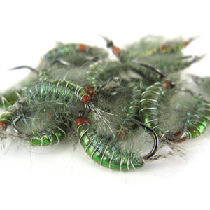 Holo Green Gammarus