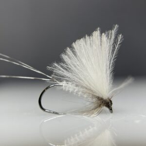 White Biot CDC Dun