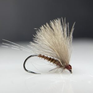 Lt. Brown Biot CDC Dun