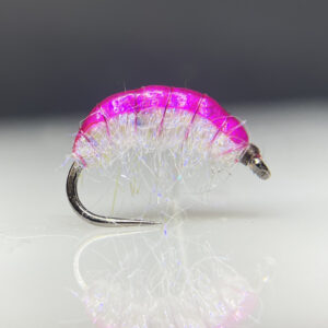 Micro Pinky Gammarus