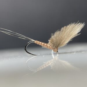 Upright Wing Trophy Dun - Brown