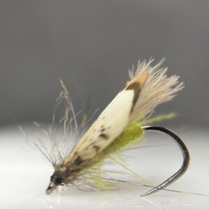 Caddis Olive Pro
